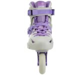 flying-eagle-fbs-avian